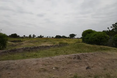 DSC_3141 (Large).JPG